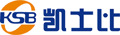 Asentus Logo